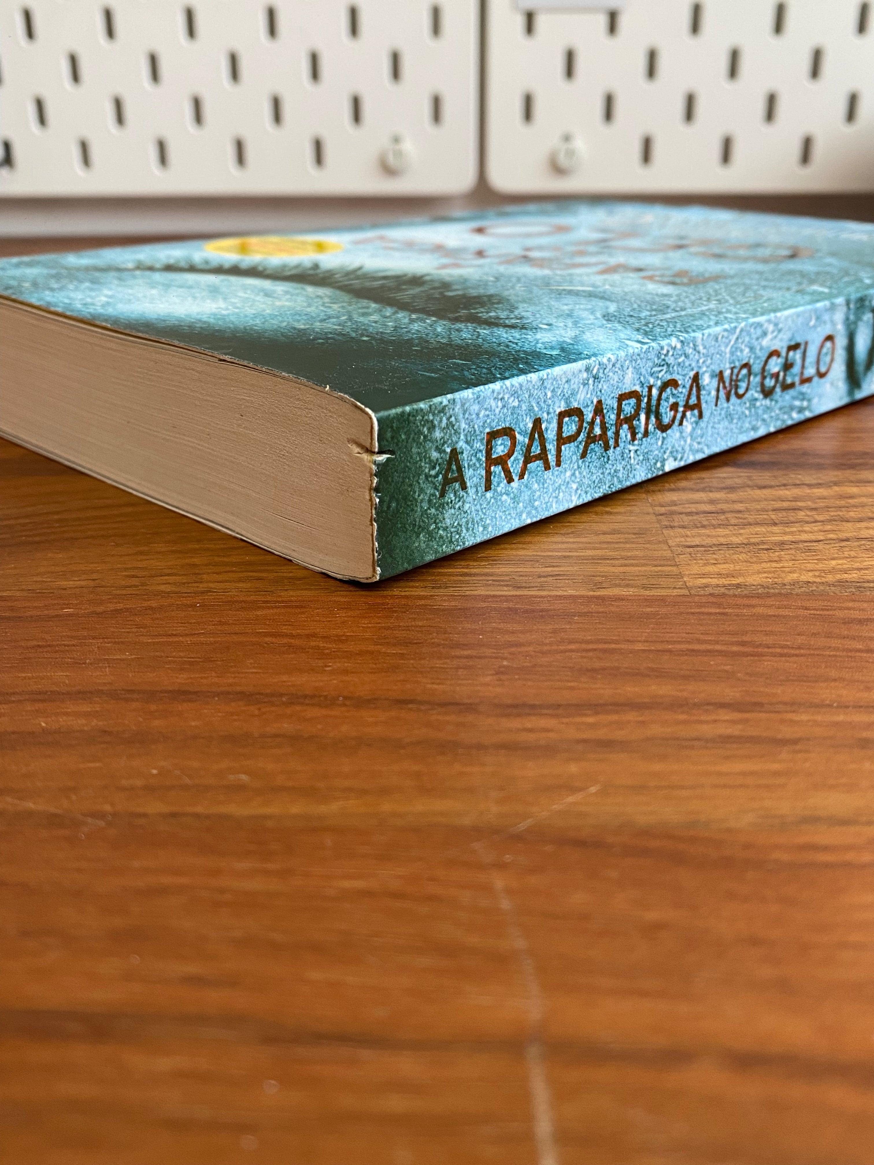 A Rapariga no Gelo