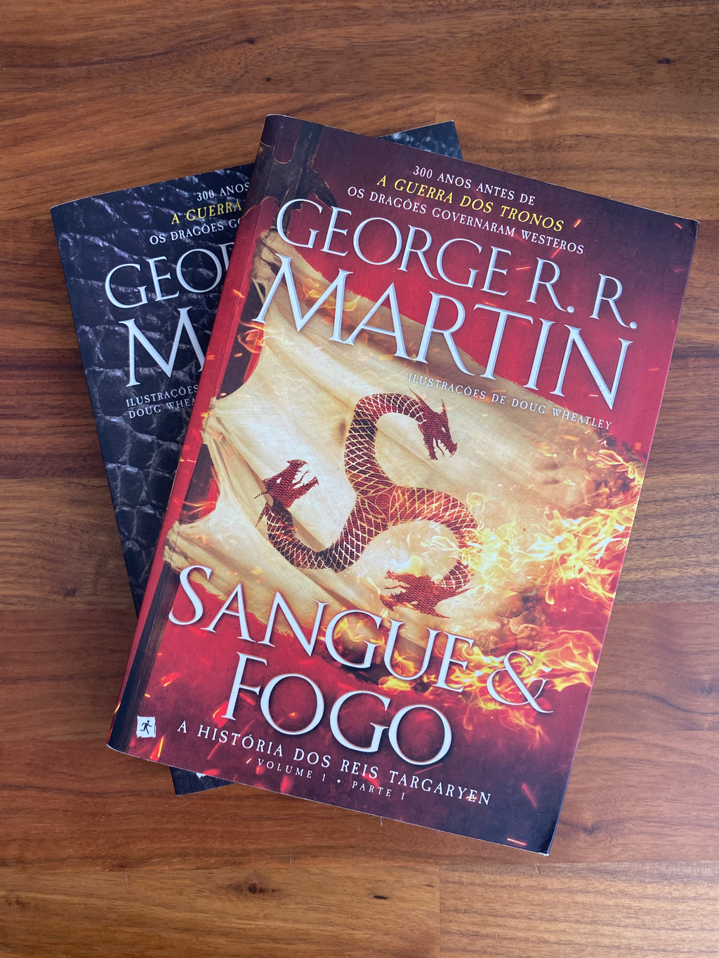 Sangue e Fogo (Parte 1 + 2)